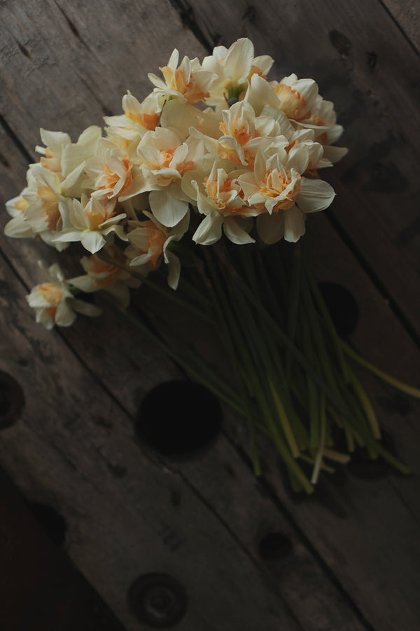 image_c0d757a3-4331-4dd6-96e7-