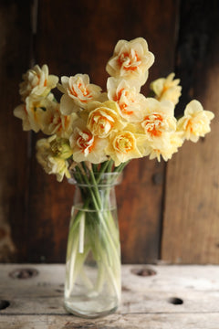 4D05D3AC-FE66-4B47-9D84-