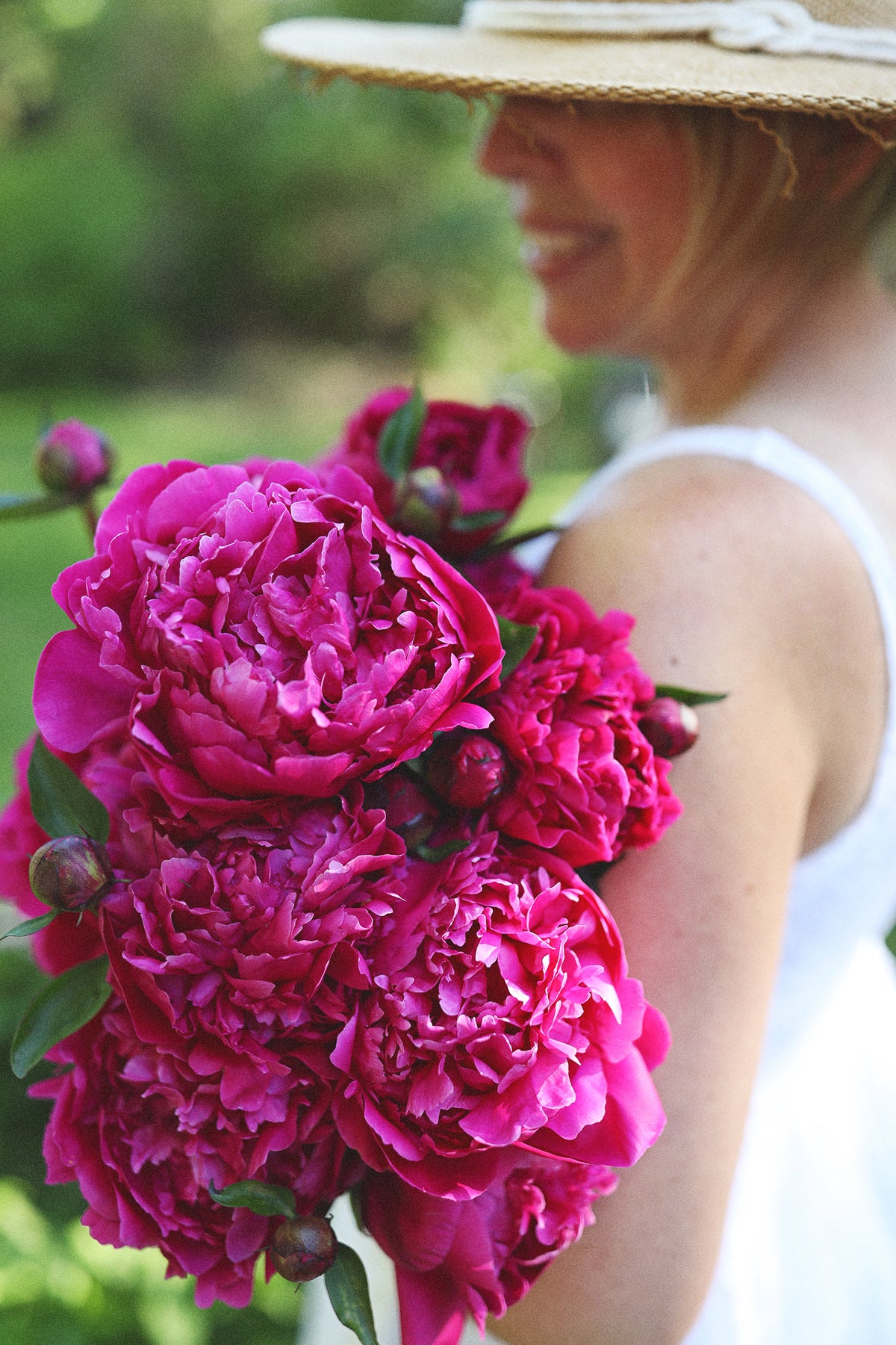 Peony Kansas