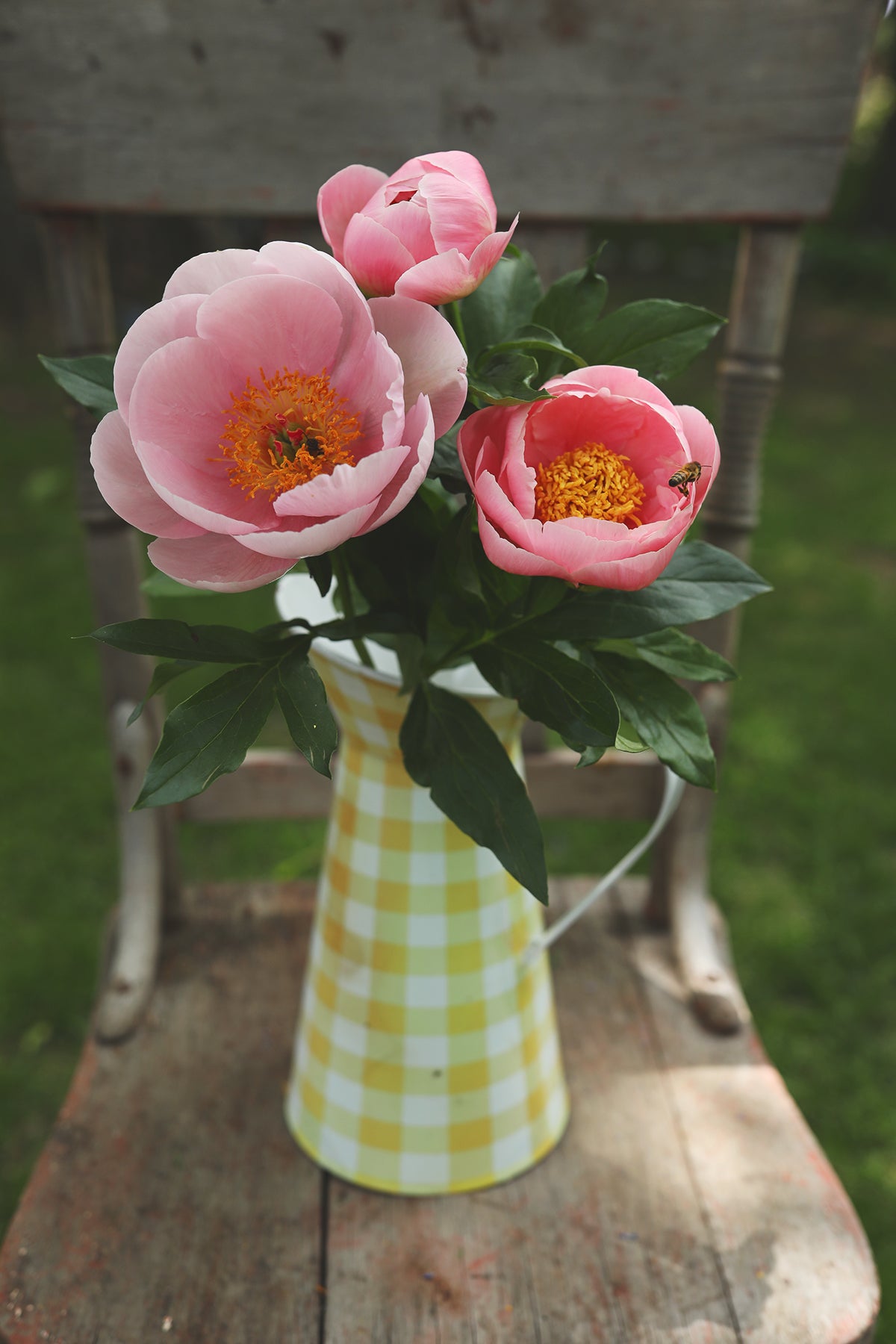 Peony Soft Salmon Saucer