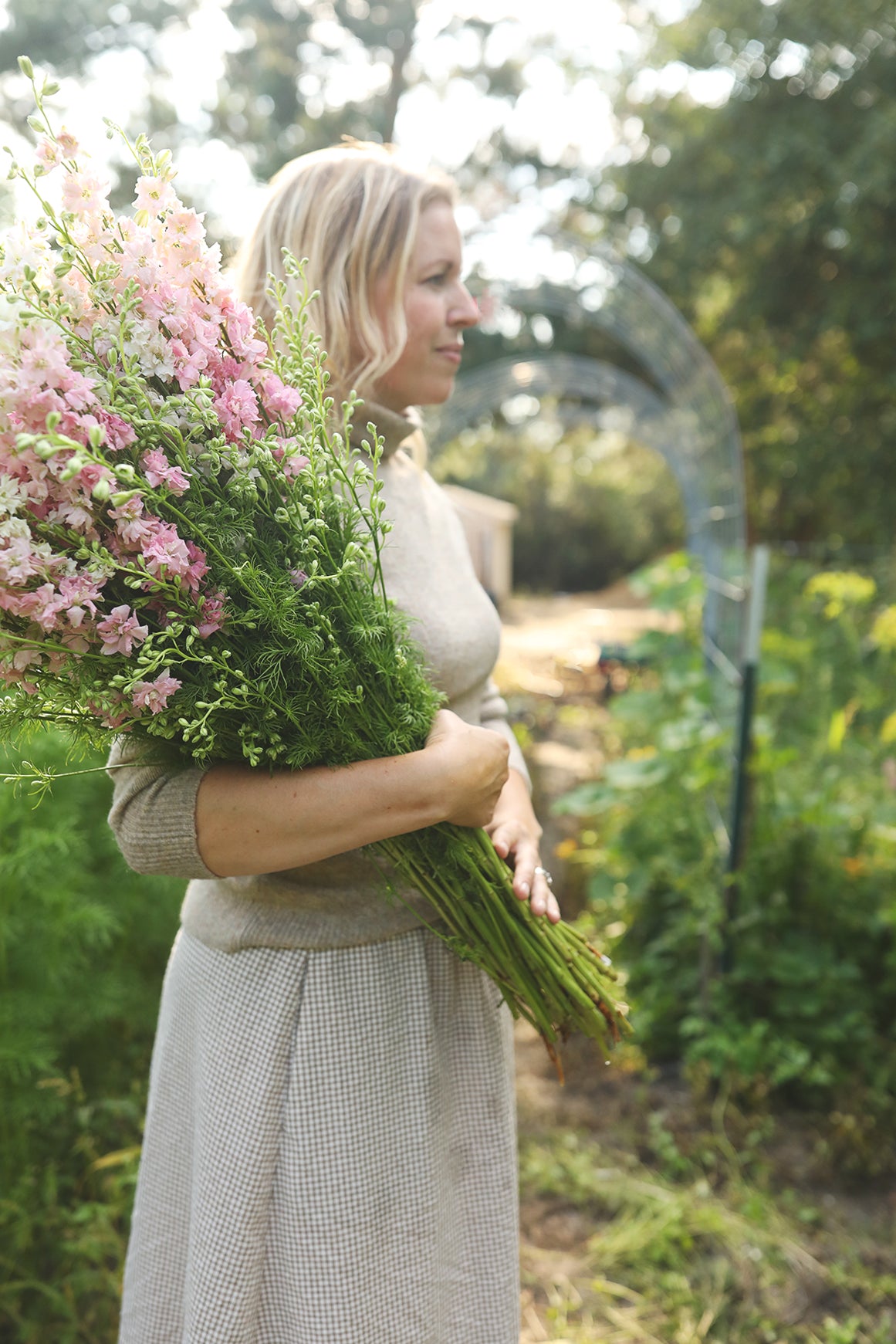 Larkspur Appleblossom Skies Mix