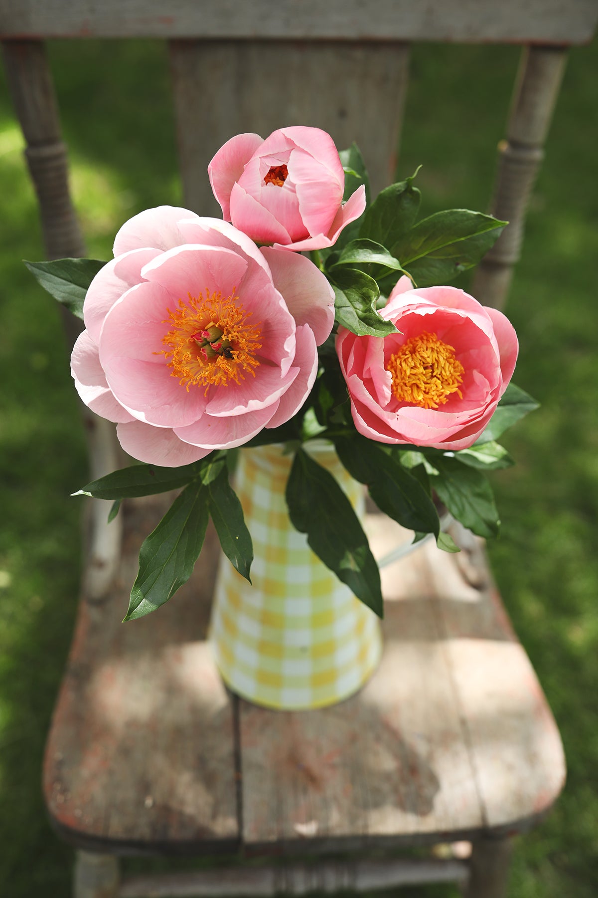 Peony Soft Salmon Saucer