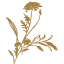 Canadian Flower Farm Whistling Prairie Flowers logo