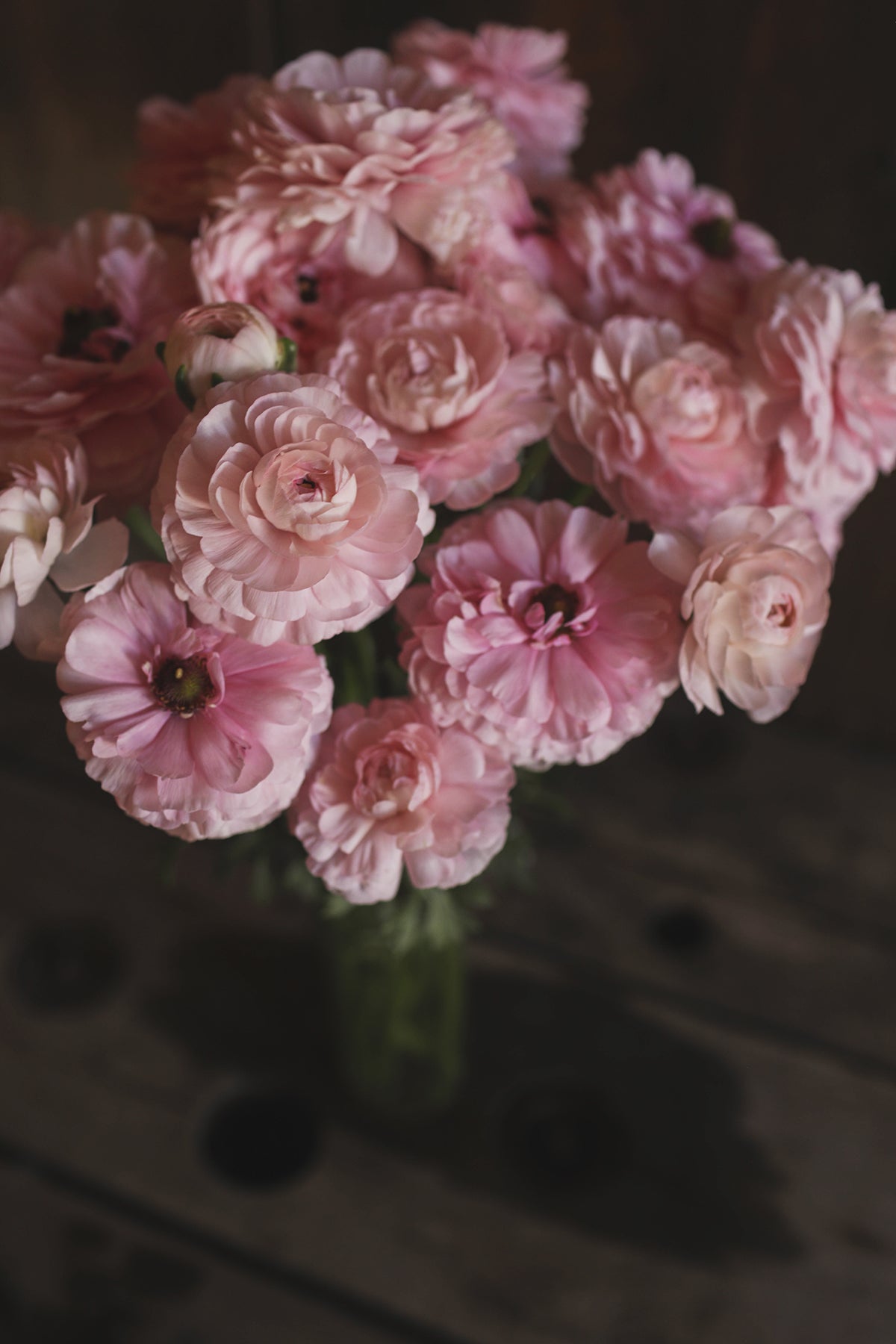 Ranunculus Pink